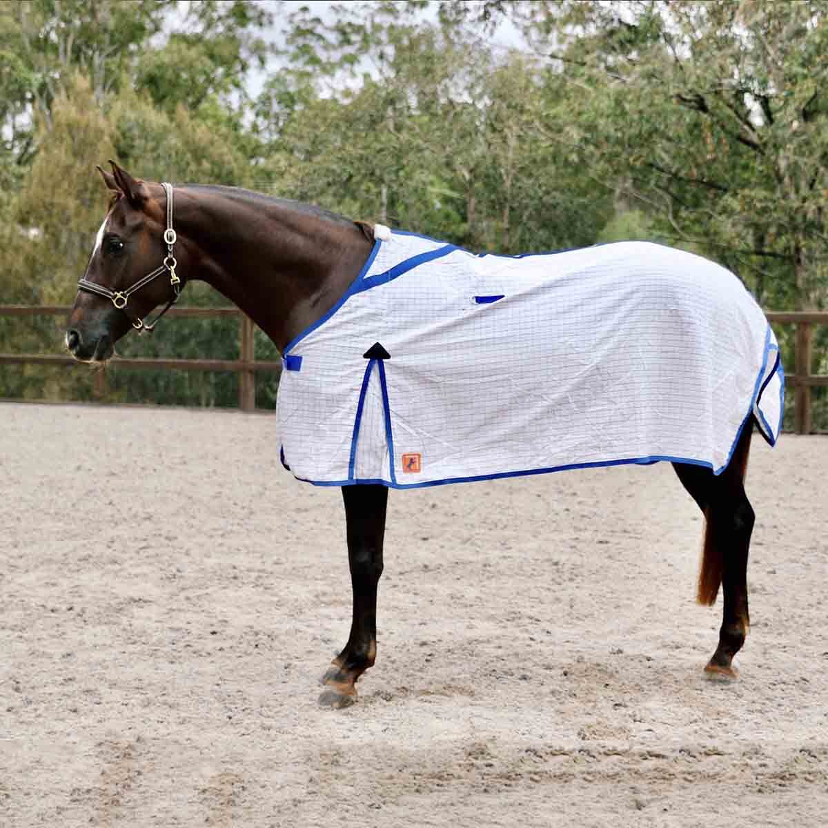 Capriole Ripstop Cotton Rose & R.Blue Check Summer Horse Rug eBay