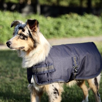 1200D Navy Dog Coat - 250 Fill