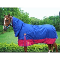 600D Rose & Royal Blue Waterproof Combo – Rainsheet.