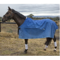 16oz Lined Canvas Waterproof Rug.