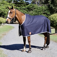 Navy Wool Show Rug