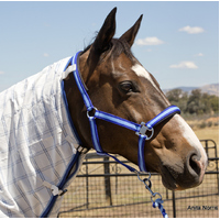 Royal Blue & Sky Halter and Lead Rope Set