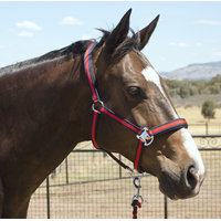 Navy Blue & Red Halter and Lead Rope Set
