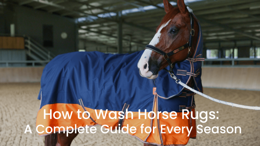 washing horse rugs
